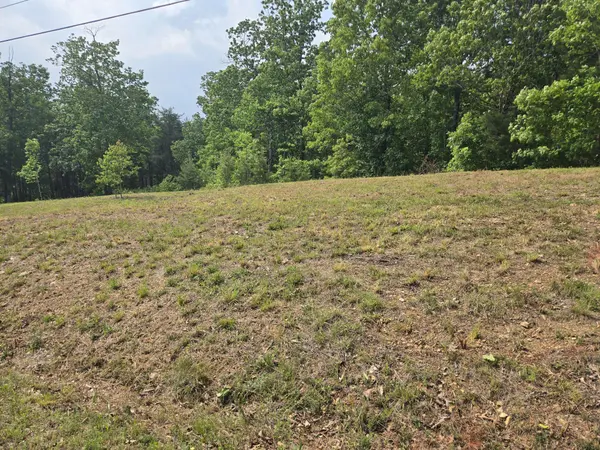 1 Turtle Point, Waverly, TN 37185