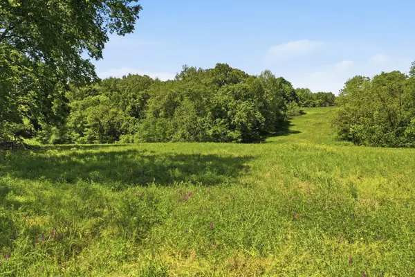 5 Gratton Road, Clarksville, TN 37043