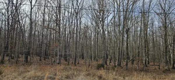 0 Industrial Park Rd, Nunnelly, TN 37137