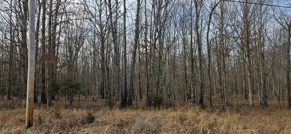 0 Industrial Park Rd, Nunnelly, TN 37137