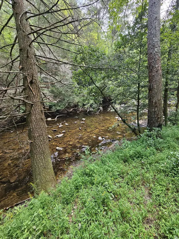 83 Creekview Ln, Altamont, TN 37301