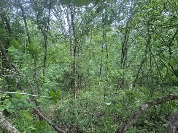 0 Park Dr, Silver Point, TN 38582
