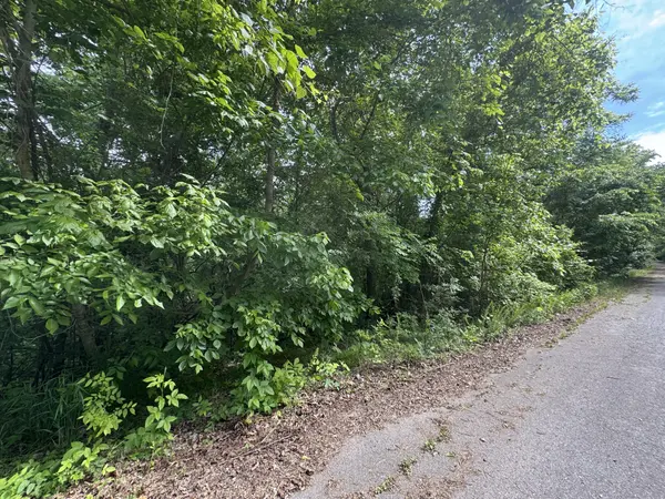 0 Park Dr, Silver Point, TN 38582