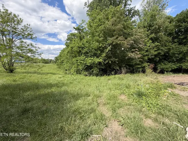 316 Wiley Town Rd, Newport, TN 37821