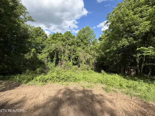 316 Wiley Town Rd, Newport, TN 37821