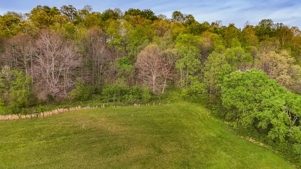 53 Pleasant Hill Rd, Lynchburg, TN 37352