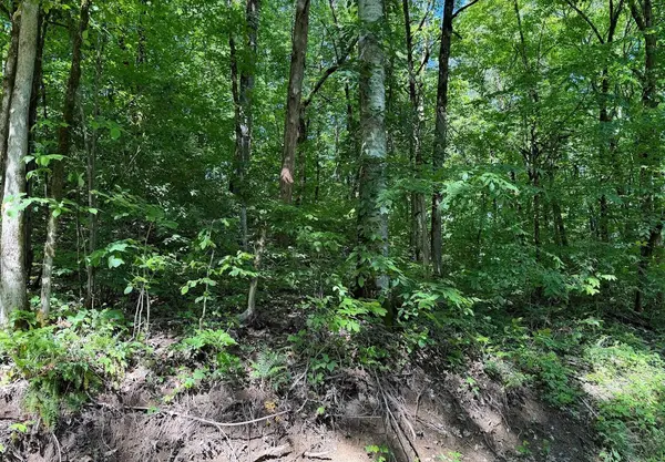 0 Spring Creek Road, Cookeville, TN 38501