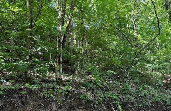 0 Spring Creek Road, Cookeville, TN 38501