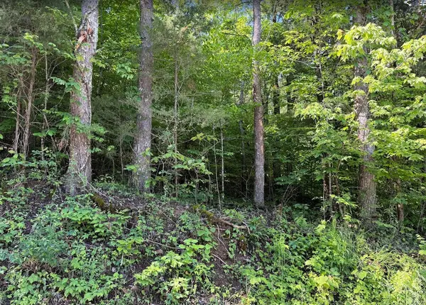 0 Spring Creek Road, Cookeville, TN 38501