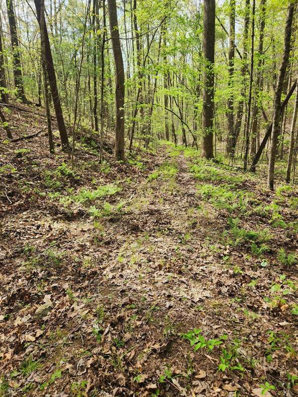 0 Chestnut Mountain Road, Reliance, TN 37369