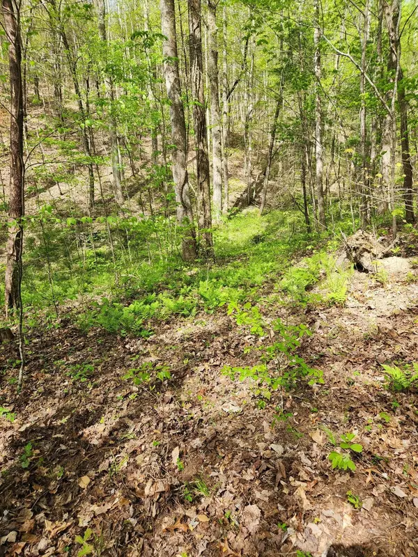 0 Chestnut Mountain Road, Reliance, TN 37369