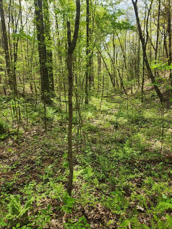 0 Chestnut Mountain Road, Reliance, TN 37369