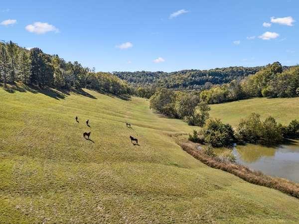 2846 Fuller Hollow Rd, Cornersville, TN 37047