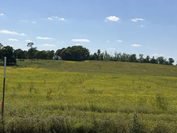0 Pinson Rd, Springfield, TN 37172