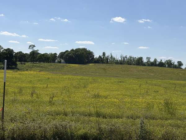 0 Pinson Rd, Springfield, TN 37172