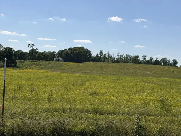 0 Pinson Rd, Springfield, TN 37172