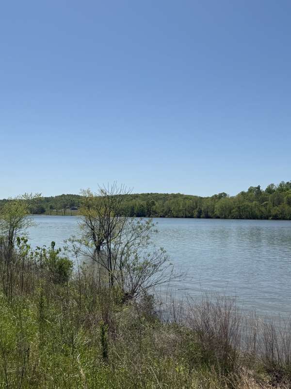 941 Hardin Bottom River Road, Clifton, TN 38425