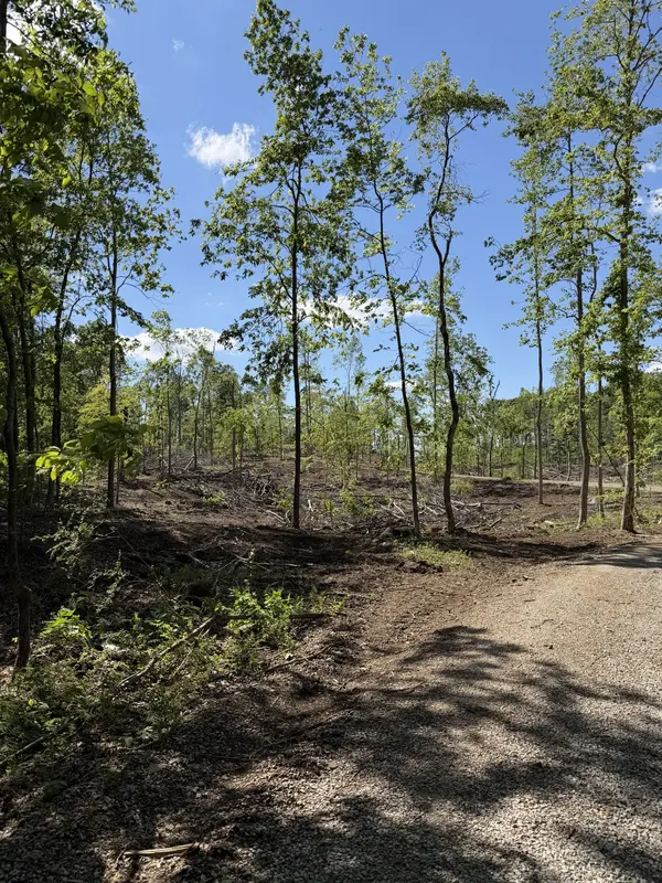 6492 Cross Plains Rd, Springfield, TN 37172
