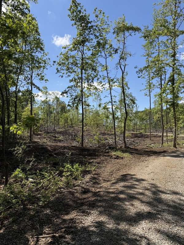 6492 Cross Plains Rd, Springfield, TN 37172