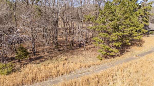 0 Treadwell Prong Rd, Linden, TN 37096