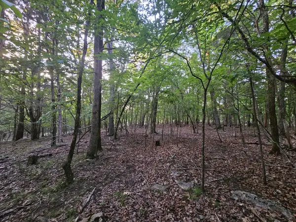 3 Sewanee Summit Road, Decherd, TN 37324