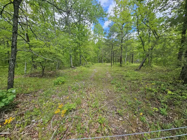 488 Hunters Trail Way, Altamont, TN 37301