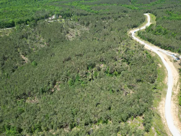 140 Pinewood Dr, Hohenwald, TN 38462