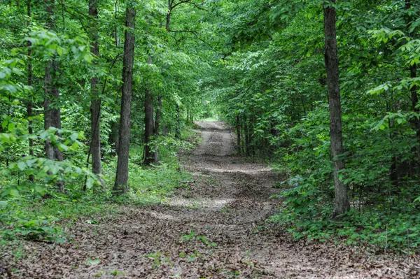 1855 Shiloh Church Rd, Camden, TN 38320
