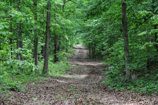 1855 Shiloh Church Rd, Camden, TN 38320