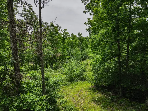 1855 Shiloh Church Rd, Camden, TN 38320