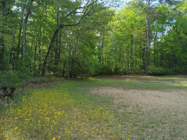 44 County Road 219, Decatur, TN 37322