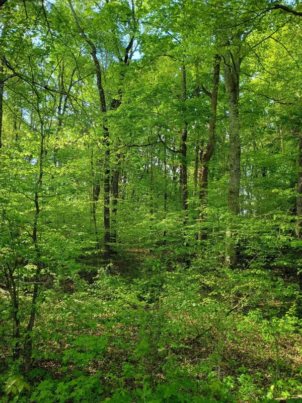 44 County Road 219, Decatur, TN 37322