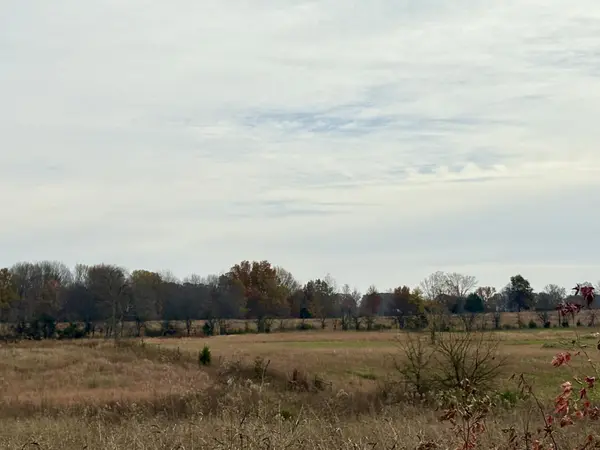 0 Halltown Rd, Portland, TN 37148