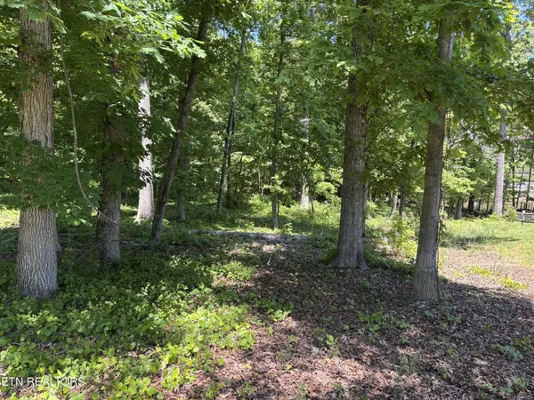 0 E Shore Drive, Rockwood, TN 37854