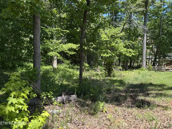 0 E Shore Drive, Rockwood, TN 37854