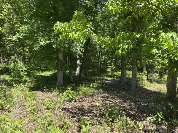 0 E Shore Drive, Rockwood, TN 37854