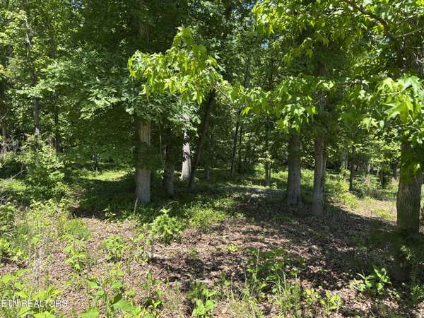 0 E Shore Drive, Rockwood, TN 37854