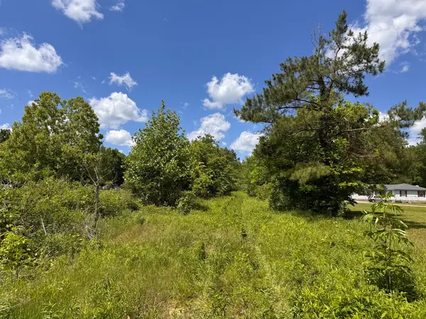 0 Dude Road, Savannah, TN 38372