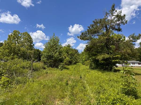 0 Dude Road, Savannah, TN 38372