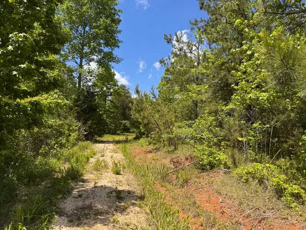 0 Dude Road, Savannah, TN 38372