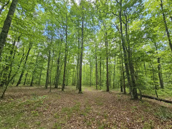 6 Beechwood Trail, Coalmont, TN 37313