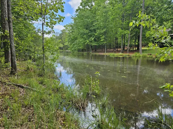 6 Beechwood Trail, Coalmont, TN 37313