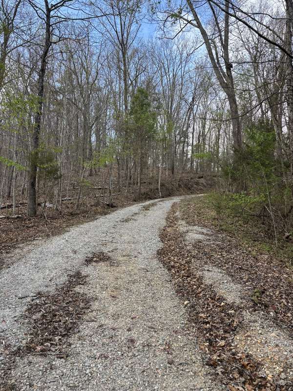 408 Back Valley Road, Sale Creek, TN 37373