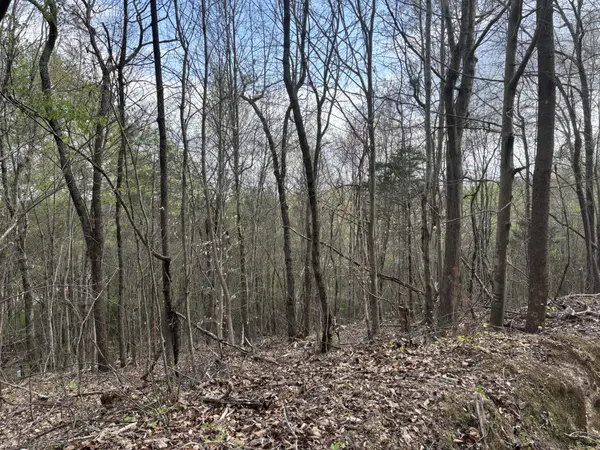 408 Back Valley Road, Sale Creek, TN 37373
