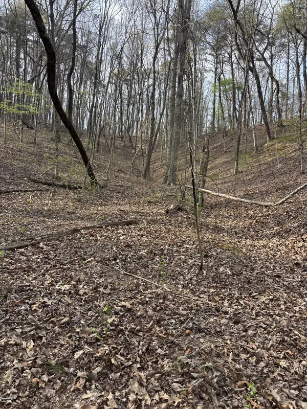 408 Back Valley Road, Sale Creek, TN 37373