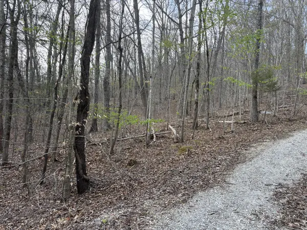 408 Back Valley Road, Sale Creek, TN 37373