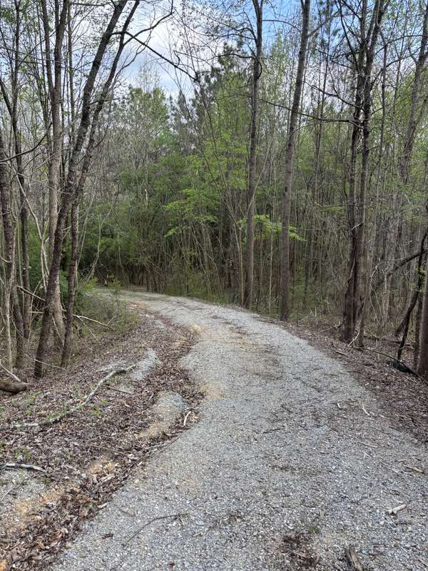 408 Back Valley Road, Sale Creek, TN 37373