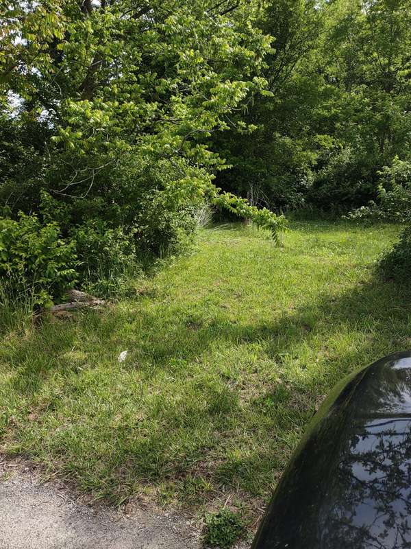 689 Stone Door Rd, Beersheba Springs, TN 37305