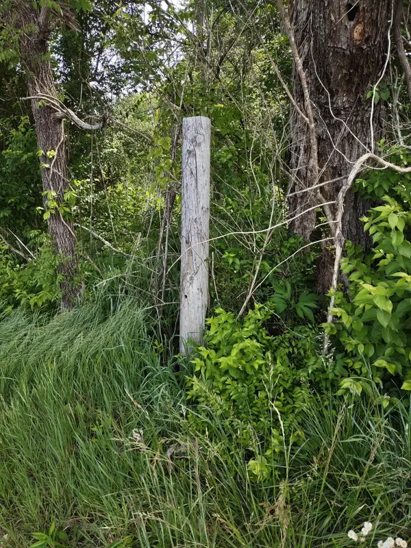 689 Stone Door Rd, Beersheba Springs, TN 37305