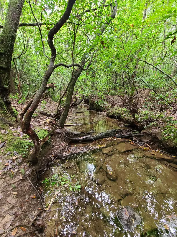 0 Whitetail Ridge Dr, Spencer, TN 38585